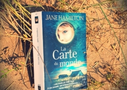 La carte du monde de Jane Hamilton (éditions l'Archipel)