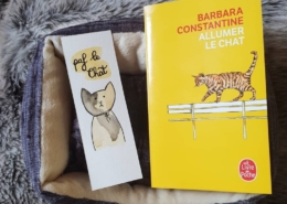 Allumer le chat de Barbara Constantine (éditions Le livre de poche)