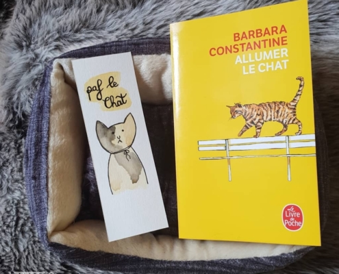 Allumer le chat de Barbara Constantine (éditions Le livre de poche)