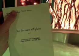 Le dormant d’Éphèse de Xavier Accart (éditions Tallandier)