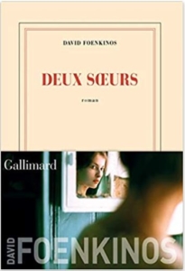 Couverture de Deux soeurs de David Foenkinos 