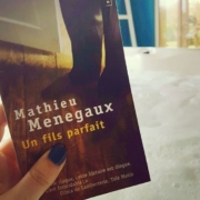 Un fils parfait de Mathieu Menegaux (éditions Points)