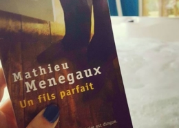 Un fils parfait de Mathieu Menegaux (éditions Points)