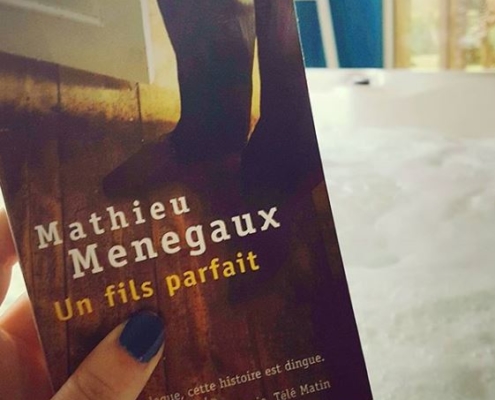 Un fils parfait de Mathieu Menegaux (éditions Points)