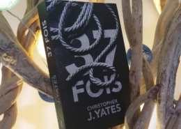 37 fois de Christopher J. Yates (Le Cherche midi éditions)