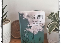 Et toujours les forêts de Sandrine Collette (éditions JC Lattès)