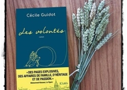 Les volontés de Cécile Guidot (éditions JC Lattès)