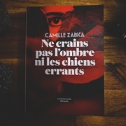 Ne crains pas l'ombre ni les chiens errants de Camille Zabka (éditions L'iconoclaste)