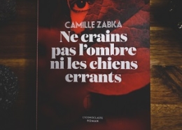 Ne crains pas l'ombre ni les chiens errants de Camille Zabka (éditions L'iconoclaste)