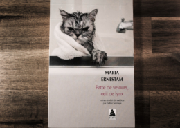 Patte de velours, oeil de lynx de Maria Ernestam (éditions Babel)