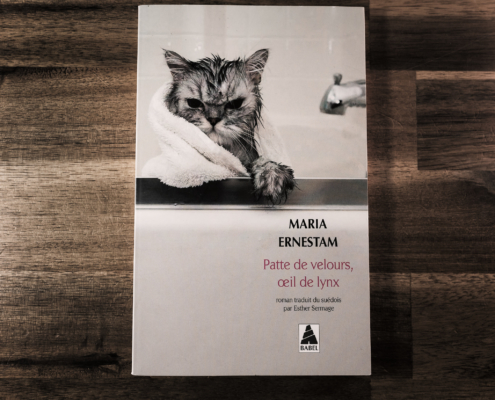 Patte de velours, oeil de lynx de Maria Ernestam (éditions Babel)