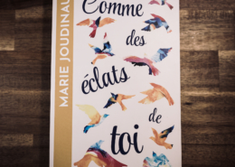 Comme des éclats de toi de Marie Joudinaud (éditions l'Archipel)