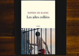 Les ailes collées de Sophie de Baere (éditions JC Lattès)