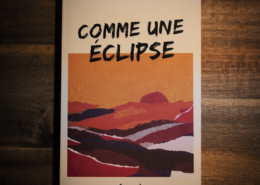 Comme une éclipse de Sophie Rouvier (éditions Fayard)